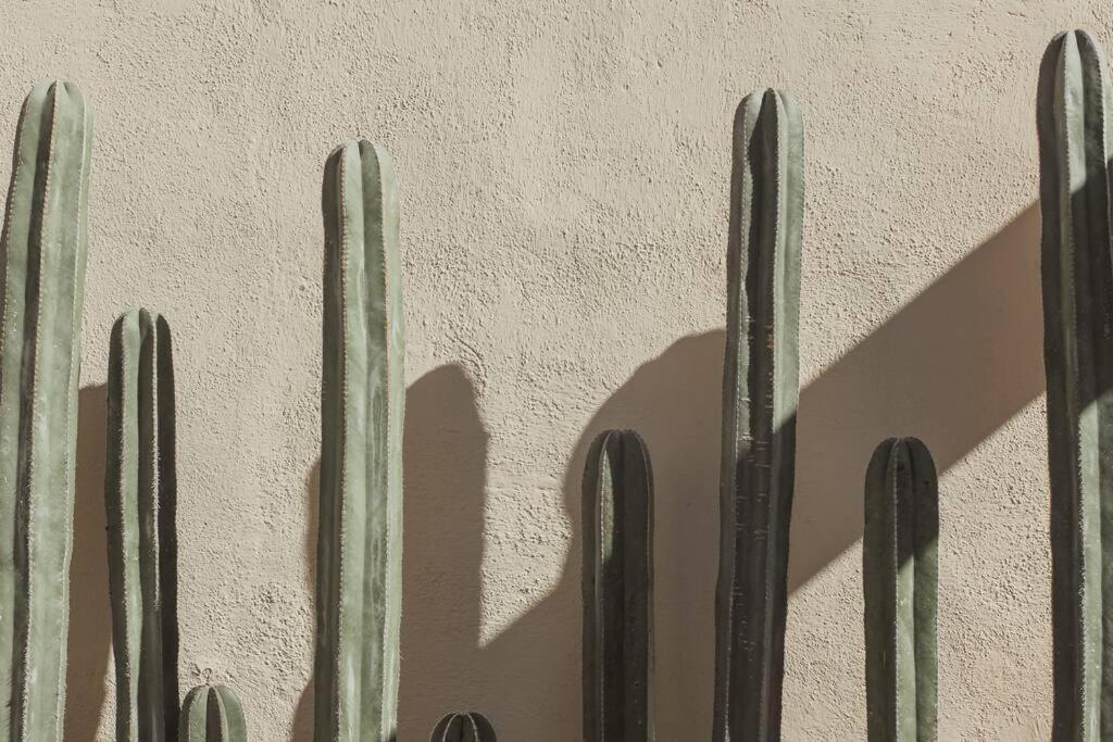 Cien Palmas- Authentic Mexican Casita 3 -Downtown Todos Santos Kültér fotó